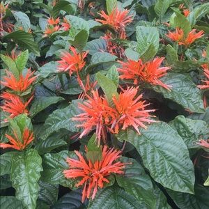 Meet your Posher, Maryssa